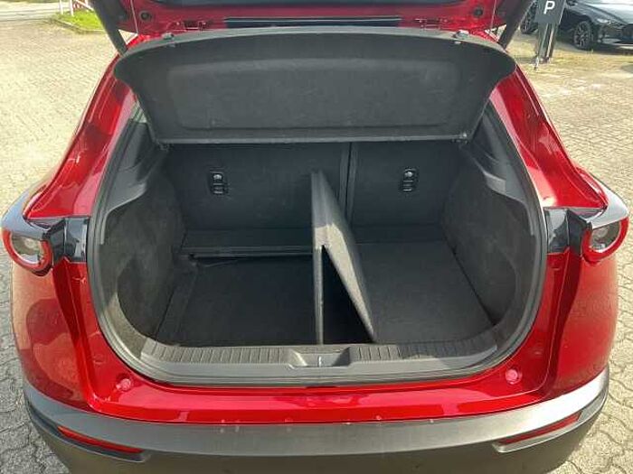 Mazda CX-30 2.0 AT SELECTION MATRIX BOSE 360 HUD