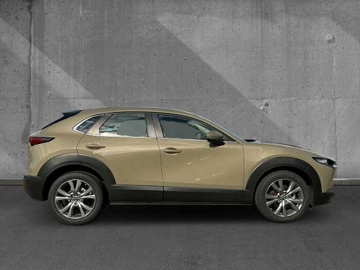 Mazda CX-30 2.0 AT Exclusive LED HUD Navi ACAA